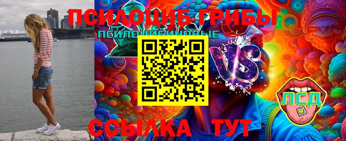 Унеча  Галлюциногенные грибы ЛСД  Вход с VPN 