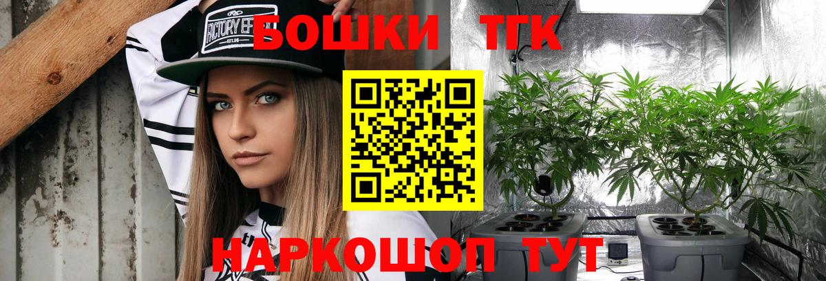 Каннабис планчик  Вход с VPN  Канабис марихуана  Бошки марихуана марихуана  Унеча 